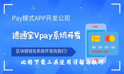 比特下载工具使用详解与技巧