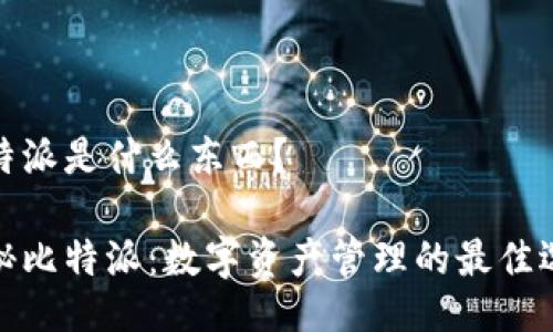 比特派是什么东西？

揭秘比特派：数字资产管理的最佳选择