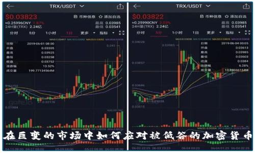 在巨变的市场中如何应对被低谷的加密货币