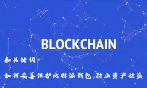 和关键词

如何妥善保护比特派钱包，防止资产被盗