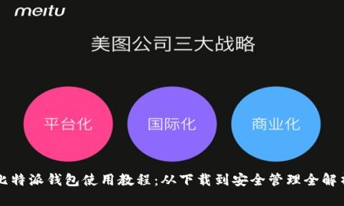 比特派钱包使用教程：从下载到安全管理全解析