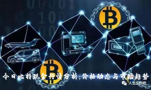 今日比特现金行情分析：价格动态与市场趋势