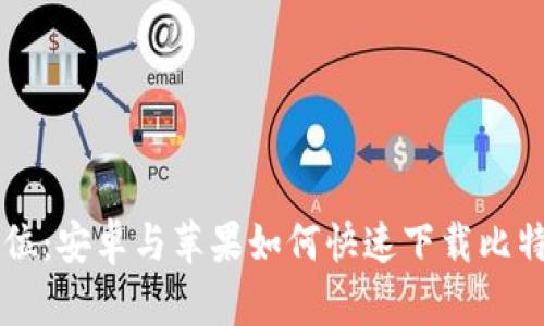 一步到位：安卓与苹果如何快速下载比特派应用