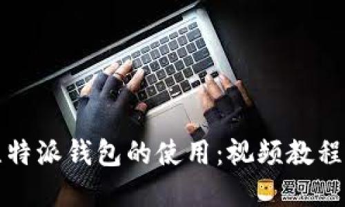 全面掌握比特派钱包的使用：视频教程与实用技巧