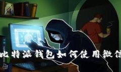 深入解析比特派钱包如何使用微信支付功能