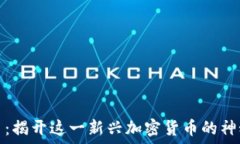   维卡币：揭开这一新兴加密货币的神秘面纱