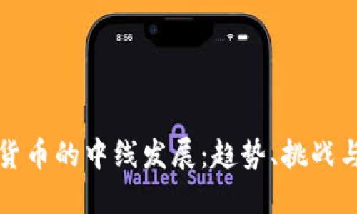 加密货币的中线发展：趋势、挑战与未来