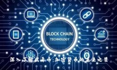 深入了解病毒币：加密货币的未来之星