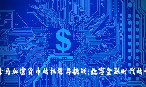 巴拿马加密货币的机遇与挑战：数字金融时代的崛起