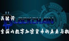 与关键词探索国内数字加密货币的未来与挑战