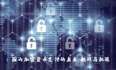 : 国内加密货币支付的未来：挑战与机遇