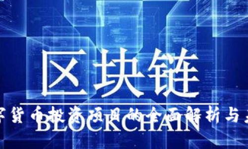 加密数字货币投资项目的全面解析与未来前景