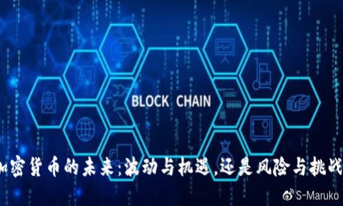 加密货币的未来：波动与机遇，还是风险与挑战？