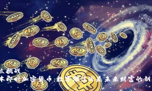 对立挑战
日本即时加密货币：数字泡沫还是未来财富的钥匙？