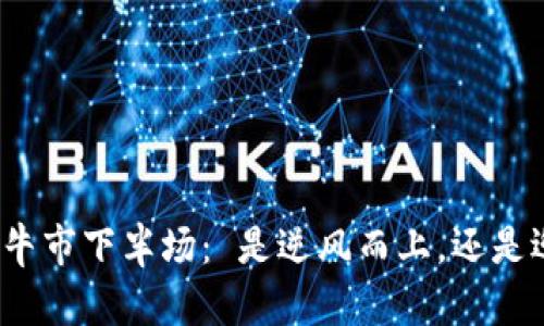 加密货币牛市下半场： 是逆风而上，还是迎风腾飞？