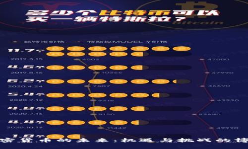 加密货币的未来：机遇与挑战的博弈