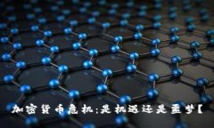 加密货币危机：是机遇还是噩梦？