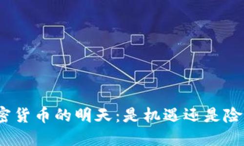 加密货币的明天：是机遇还是险局？