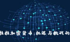 圣克拉拉加密货币：机遇与挑战的对决！