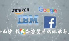 揭开神秘面纱：我国加密货币的现状与未来挑战