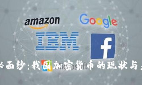 揭开神秘面纱：我国加密货币的现状与未来挑战