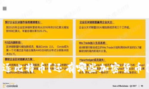 你还在追逐比特币？还有哪些加密货币值得掘金！