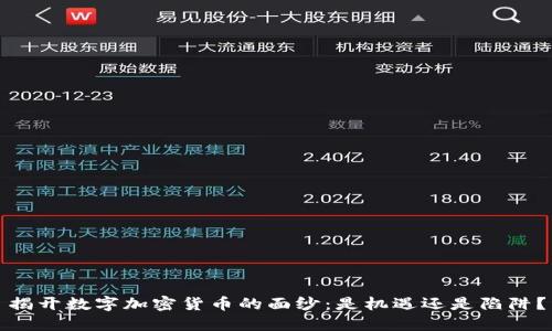 揭开数字加密货币的面纱：是机遇还是陷阱？