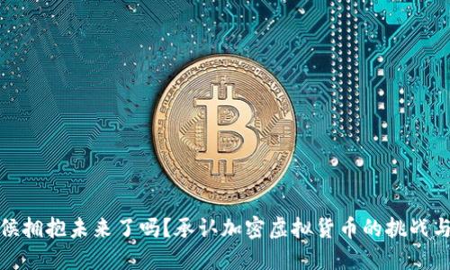 是时候拥抱未来了吗？承认加密虚拟货币的挑战与机遇