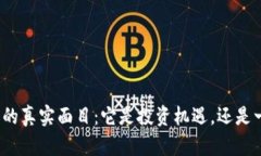 加密货币的真实面目：它是投资机遇，还是一场