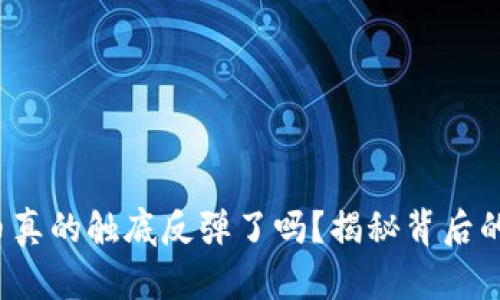 加密数字货币真的触底反弹了吗？揭秘背后的真相与挑战！