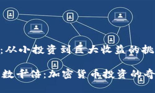 加密货币：从小投资到巨大收益的挑战之旅

从0.04到数千倍：加密货币投资的奇迹与风险