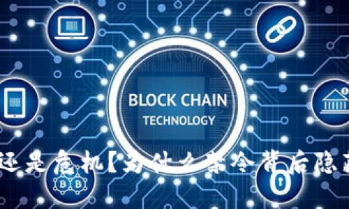 加密货币：创新还是危机？为什么禁令背后隐藏着更深的考量