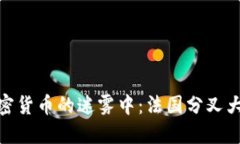 在加密货币的迷雾中：法国分叉大揭秘