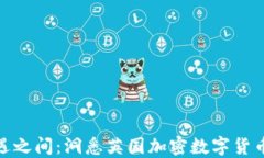 在风险与机遇之间：洞悉英国加密数字货币的波