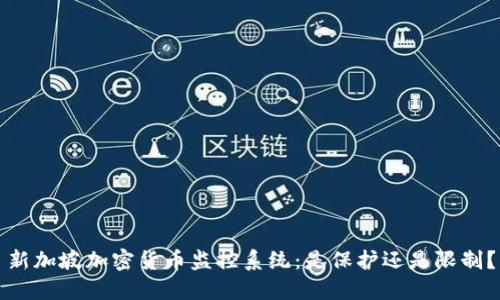 新加坡加密货币监控系统：是保护还是限制？