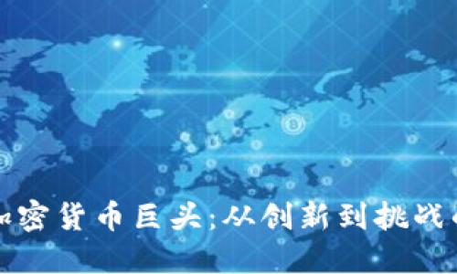 探索欧洲加密货币巨头：从创新到挑战的时代转型