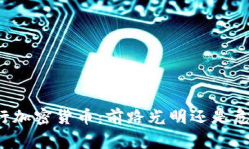 国家推行加密货币：前路光明还是危机四伏？