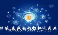 “加密货币估值：是疯狂的投机还是未来的金矿