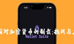 美国对加密货币的制裁：挑战与应对