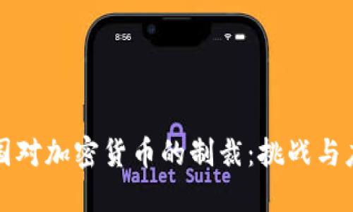 美国对加密货币的制裁：挑战与应对