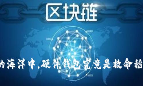 在数字货币的海洋中，硬件钱包究竟是救命稻草还是负担?