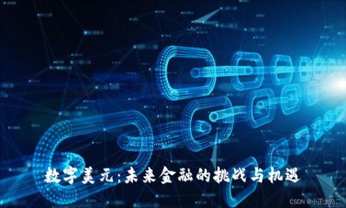 数字美元：未来金融的挑战与机遇