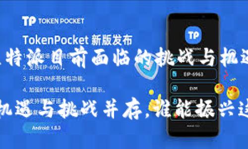 比特派现状: 比特派目前面临的挑战与机遇

比特派的未来：机遇与挑战并存，谁能振兴这一“加密星球”？