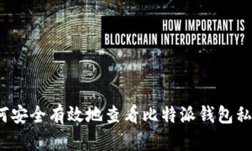 如何安全有效地查看比特派钱包私钥？