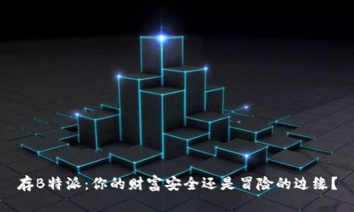 存B特派：你的财富安全还是冒险的边缘？