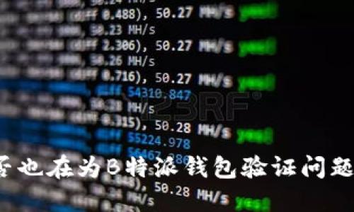 你是否也在为B特派钱包验证问题苦恼？