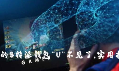 别慌！如果你的B特派钱包“U”不见了，实用指南来解救你