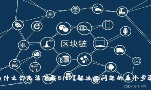 为什么你无法下载BitP？解决此问题的五个步骤！