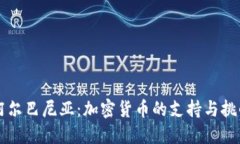 阿尔巴尼亚：加密货币的支持与挑战