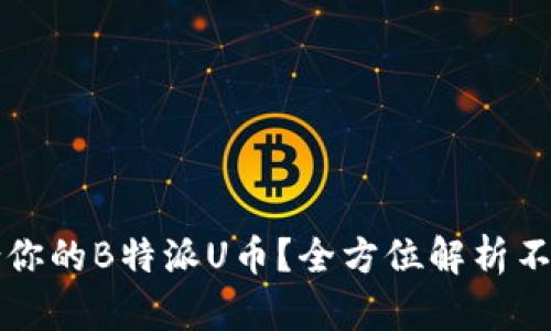 如何选择最适合你的B特派U币？全方位解析不同币种的优缺点